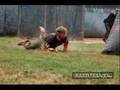 Agg Paintball video (funny)