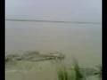 LAYYAH(BANK OF SINDH RIVER)