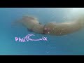 David Guetta & Akon  - Sexy Bitch Remix (official video Phil B Remix)