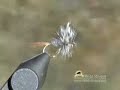 Fly Fishing Patagonia