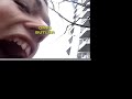 twolegged-dog-sugar-amazing.html