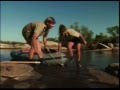 Steve Irwin