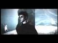 Harry Potter-Fly