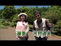 河村通夫のらくらく園芸11年9月 らくらく草取り、芝生、ナスの塩水もみ 河村通夫