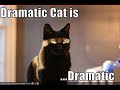 I saw a bunch of slideshow/vids liek this, so I did one X3 I lurv lolcatsAll pics from Icanhascheezburger.com and Ilovemeow.com