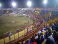 Zapote - Toros a la Tica Zapote - Toros a la Tica