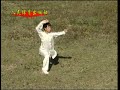 Mandarin Duck Style Rao Bu Quan (Circle Step Fist)