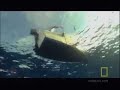 Shark Pit Diving Shark Pit Diving