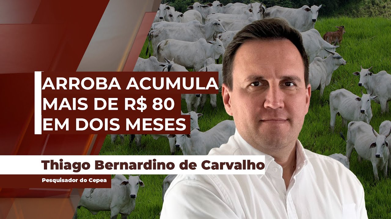 Mercado do boi gordo passa por momento 'avassalador' de altas e pecuarista tem de redobrar...