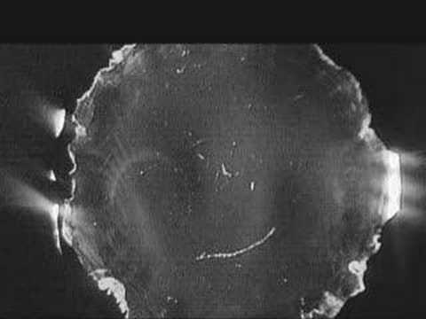 Ferro Quadrupole Contour Fluid #6