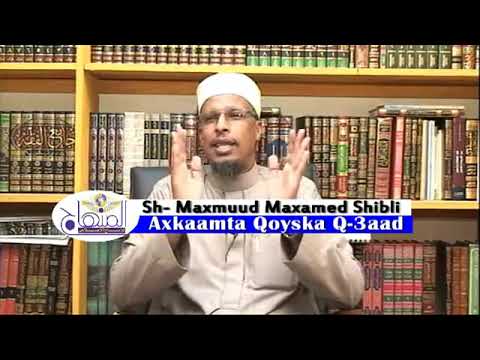 See video