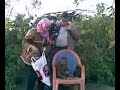 قرد في حديقه الحيران في الاسكندري