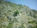 DERSİM TUNCELİ MUNZUR SUYU