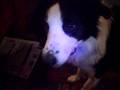videos de 9a uki