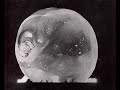 Gyorgy Ligeti and Ernst Haeckel