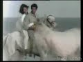Tofi - caracol