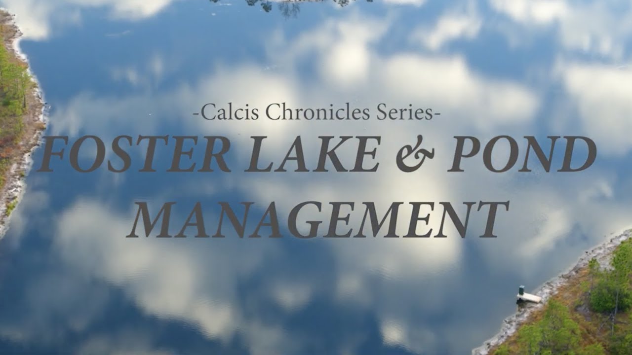 Foster Lake & Pond Management