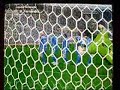 Mat�as Fern�ndez - Gol de Tiro Libre - PES 6