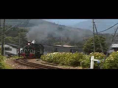 大井川鉄道　崎平のアジサイ①