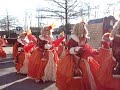 AKV  2011 CARNAVALIST VA IN DE KOESJ.