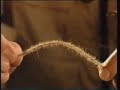 Tying Brush Winner Gammarus