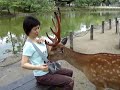 Deer attack mami ?????