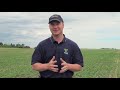 Steve Laroque gives RealAgriculture.com an update on his controlled traffic farming project in its second year.