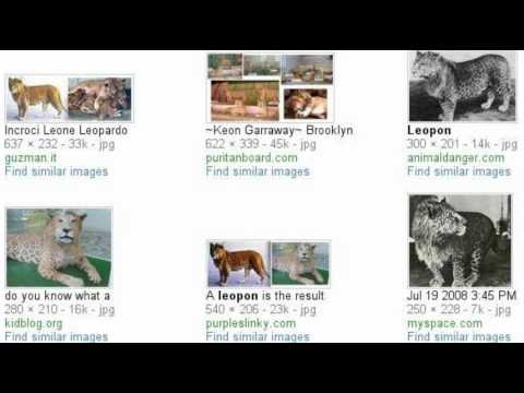 leopon