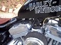 96 883 Harley Davidson sportster. Chromed factory wheels polished forks and controls. Samson big gun pipes with heat shields, 11inch FLH shocks, Arlen Ness big sucker air cleaner with factory cap, forward controls, nightster front boots. The seat was covered by a saddle shop here in Texas.