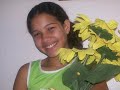 Nosso Sentimento - Só Hoje Nosso Sentimento - Só Hoje
