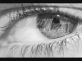 The third trailer for the novel "Waiting For Spring" by R.J. Keller
