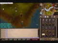 Bikini Rhino gets 99 Fishing!