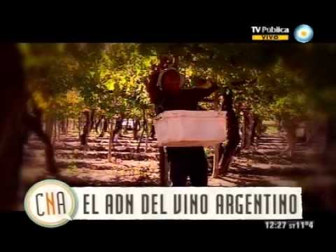 El vino argentino (Capítulo 4)