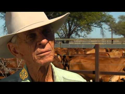 australian - Cattle farmers in Australia say their livelihoods are at risk, with multiple pressures on them from both domestic and international sources. On the one hand,...