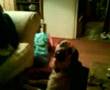 Crazy Connie