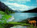 Do�a Fon M�zik   M�zikle Terapi �al��malar�