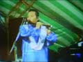 Inul bocholoro