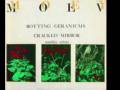 videos de Moev - Cracked Mirror