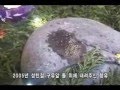 2005~2006 sign NaJu Blessed Mother -2