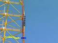 Top Thrill Dragster