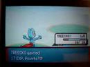 treecko