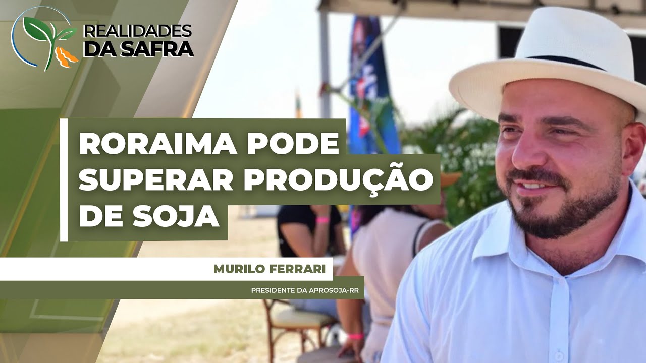 Chuva ajuda desenvolvimento da soja em Roraima que pode superar produção da safra passada