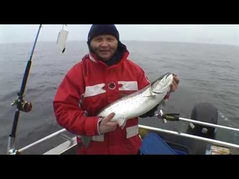 Dorsch und Meerforelle: Auf Achse rund um Khlungsbor ...