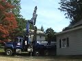 Silver Maple Removal