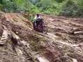 View Video
