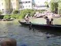 stocherkahnrennen 2007