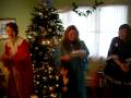 videos de 12 days of the cell cycle