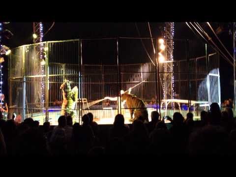 Cirque Medrano : la dompteuse de lions