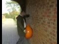 Spacehopper Quadrophenia