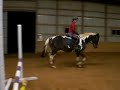 schooling trot poles 2